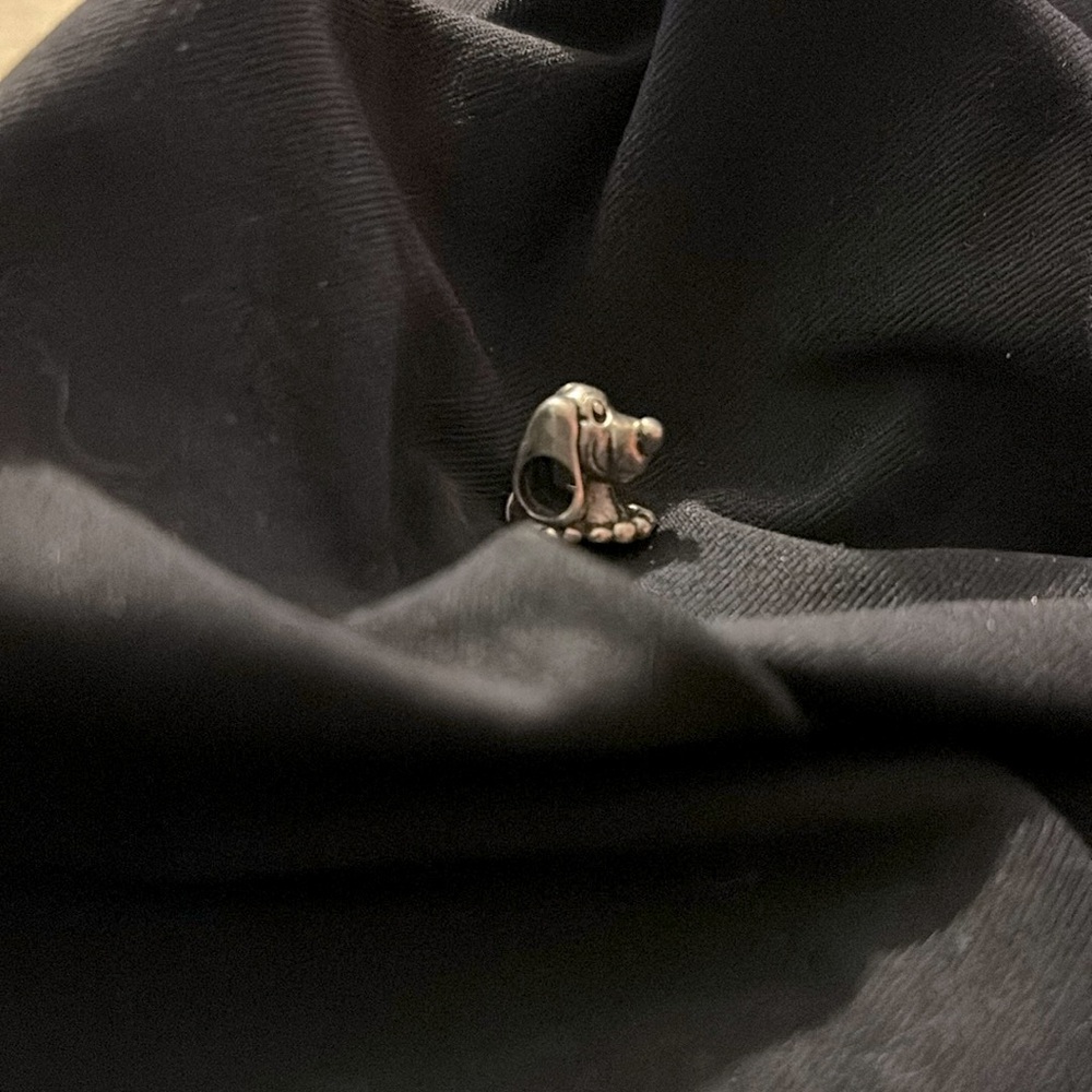 Dog Pandora charm